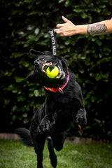 Moby Dog Ball