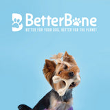 Better Bone Kauspielzeug
