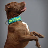 Canestaff® Individuelles Softshell Halsband