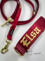 Canestaff® Individuelles Halsband