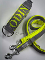 Canestaff® Individuelles Halsband