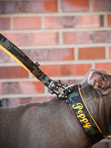 Canestaff® Individuelle Leine