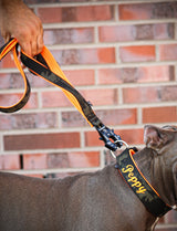 Canestaff® Individuelle Leine