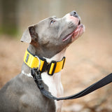 Canestaff® Individuelle Leine