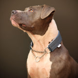 Canestaff® Individuelles Zugstop Halsband