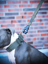 Canestaff® Individuelle Leine