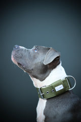 Canestaff® Individuelles Halsband