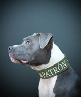 Canestaff® Individuelles Halsband