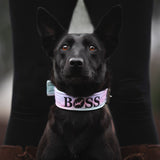 Canestaff® Individuelles Softshell Halsband