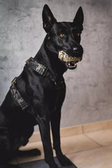 Canestaff® Individuelles Geschirr