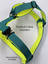 Canestaff® Individuelles Geschirr