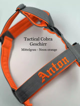 Canestaff® Individuelles Geschirr