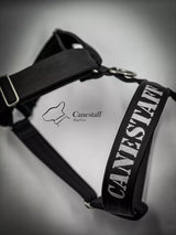 Canestaff® Individuelles Geschirr