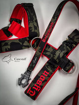 Canestaff® Individuelles Geschirr