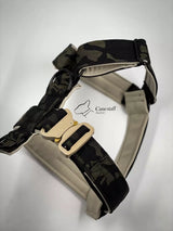 Canestaff® Individuelles Geschirr