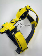 Canestaff® Individuelles Geschirr