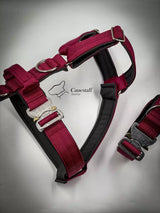 Canestaff® Individuelles Geschirr