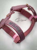 Canestaff® Individuelles Geschirr