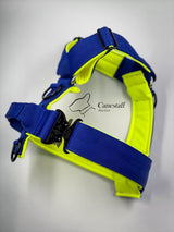 Canestaff® Individuelles Geschirr