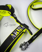 Canestaff® Individuelles Geschirr