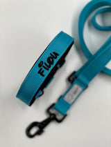 Canestaff® Individuelles Mini Halsband + Leine