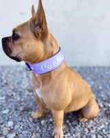 Canestaff® Individuelles Softshell Halsband