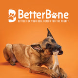 Better Bone Kauspielzeug