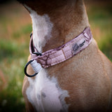 Canestaff® Individuelles Softshell Zugstop Halsband