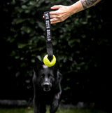 Moby Dog Ball
