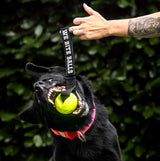 Moby Dog Ball